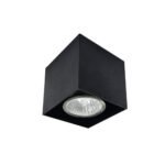 Shilo Cage plafonska lampa crna