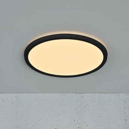 Nordlux Oja 29 IP54 3000/4000K 3-step plafonska lampa crna