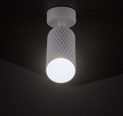 Maytoni FOCUS White Plafonska