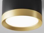 Maytoni HOOP Black - Gold Plafonska - Slika 3