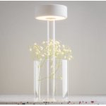 Maytoni AI Collaboration unutrašnja stona lampa prozirna 3W