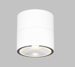Maytoni Spin spoljašnja plafonska lampa bela 3000K 12W