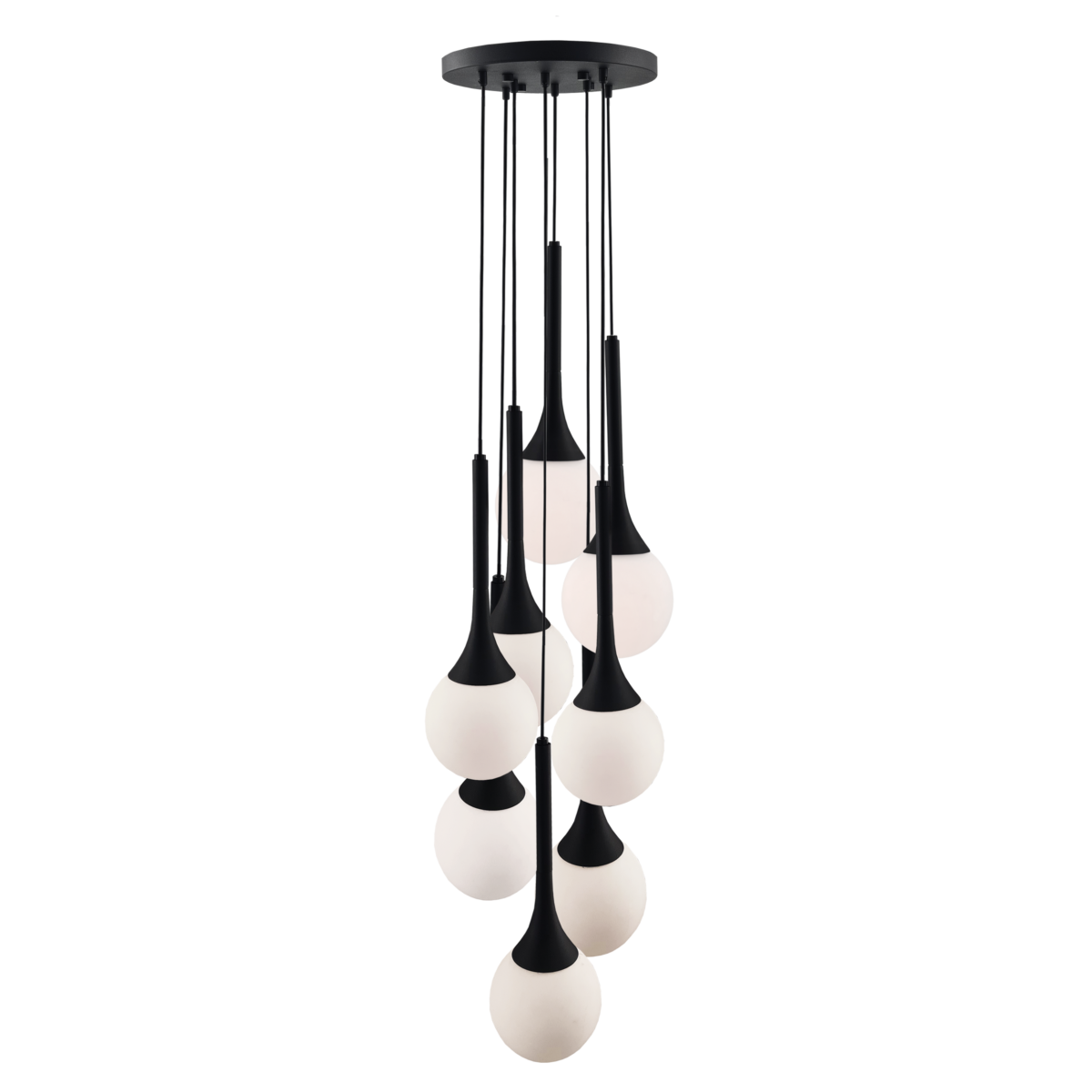 Shilo visilica crna Shilo visilica crna - Slika 1