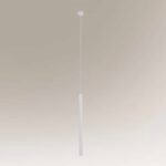 Shilo Aomori visilica bela