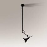 Shilo Daisen visilica crna