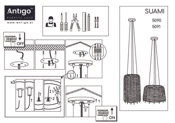 Shilo visilica crna - Slika 2