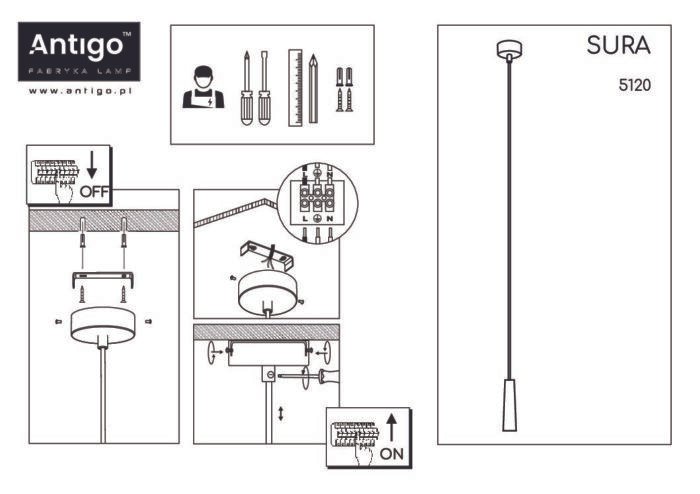 Shilo visilica crna - Slika 2