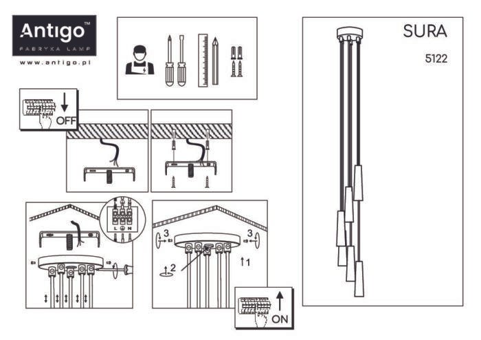 Shilo visilica crna - Slika 2