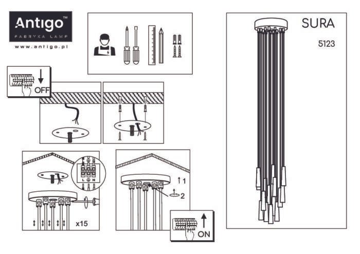 Shilo visilica crna - Slika 2