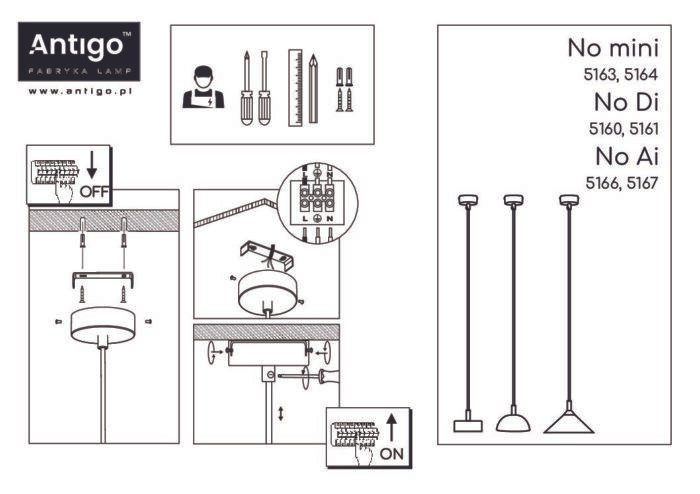 Shilo No. Ai visilica crna - Slika 2