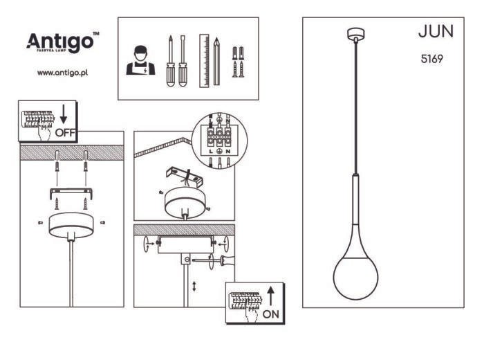 Shilo visilica crna - Slika 2