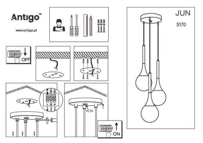 Shilo visilica crna - Slika 2