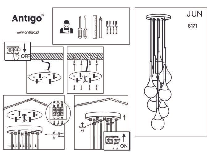 Shilo visilica crna - Slika 2