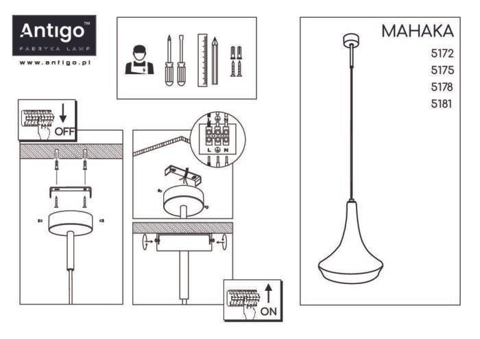 Shilo visilica siva - Slika 2