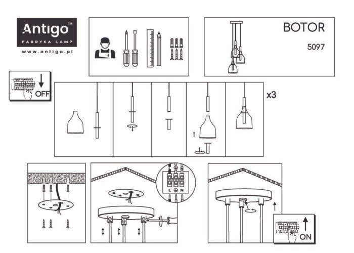 Shilo visilica crna - Slika 2