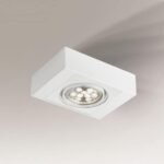 Shilo Koga plafonska lampa bela (80 mm)