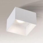 Shilo Konan plafonska lampa bela