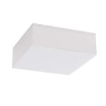 Shilo Tottori IL plafonska lampa bela 4000K