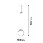 Shilo visilica crna - Slika 2